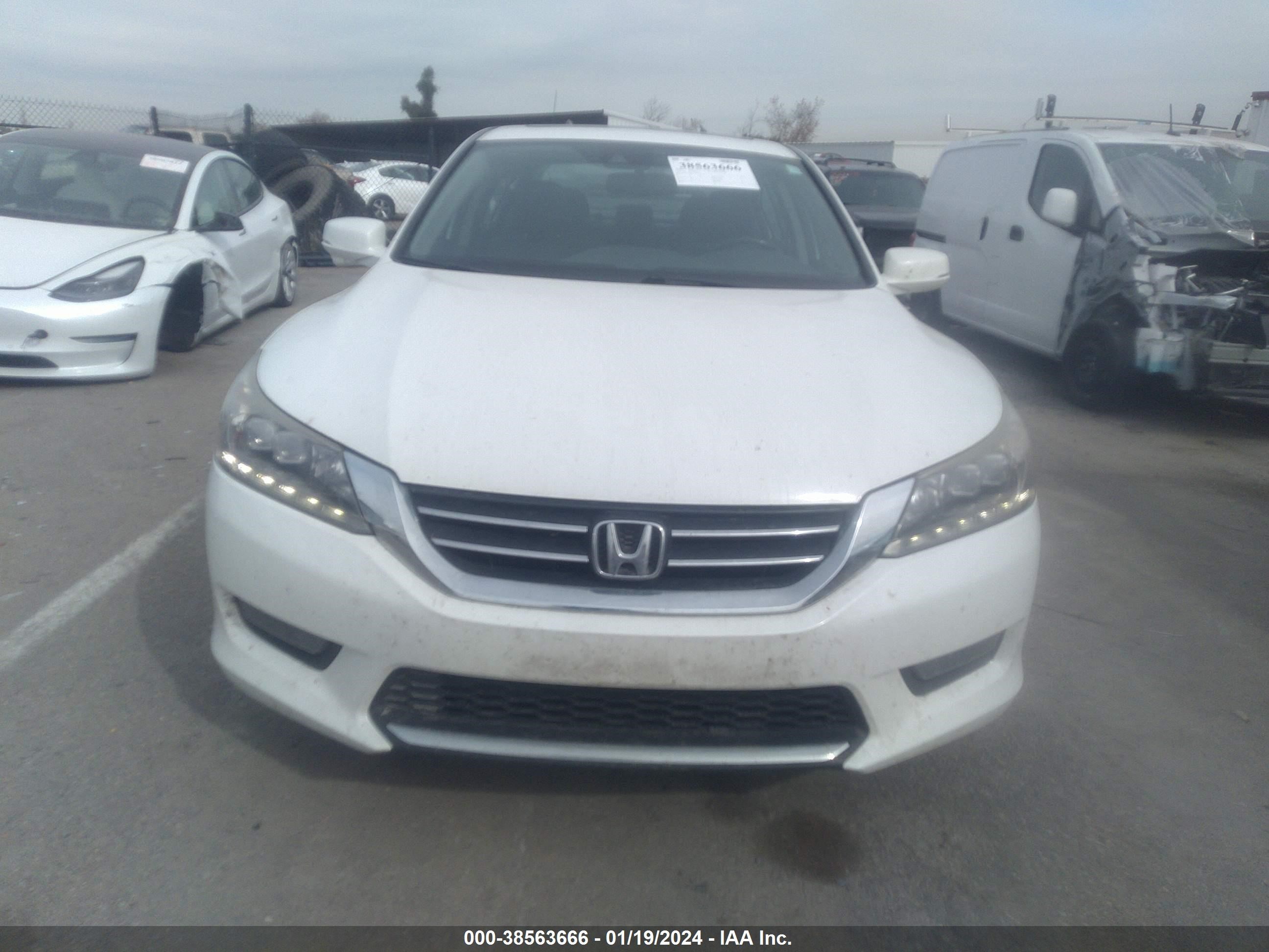 Photo 11 VIN: 1HGCR2F90EA803818 - HONDA ACCORD 