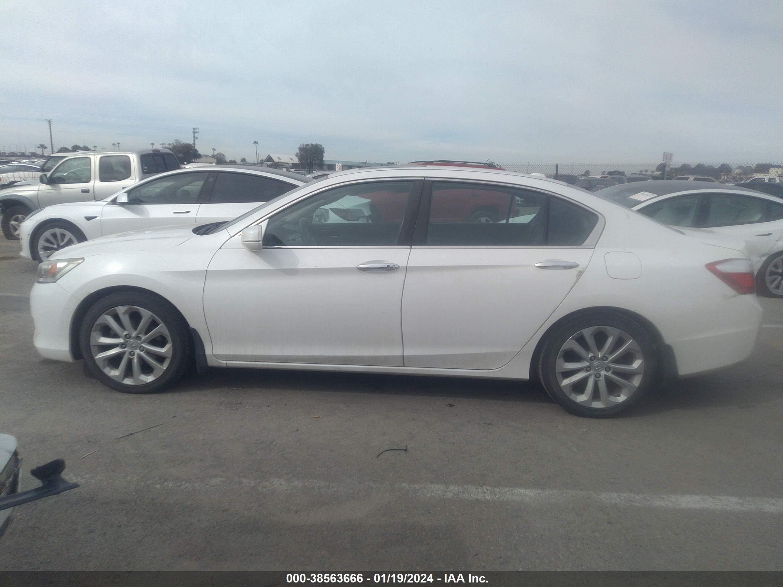 Photo 13 VIN: 1HGCR2F90EA803818 - HONDA ACCORD 