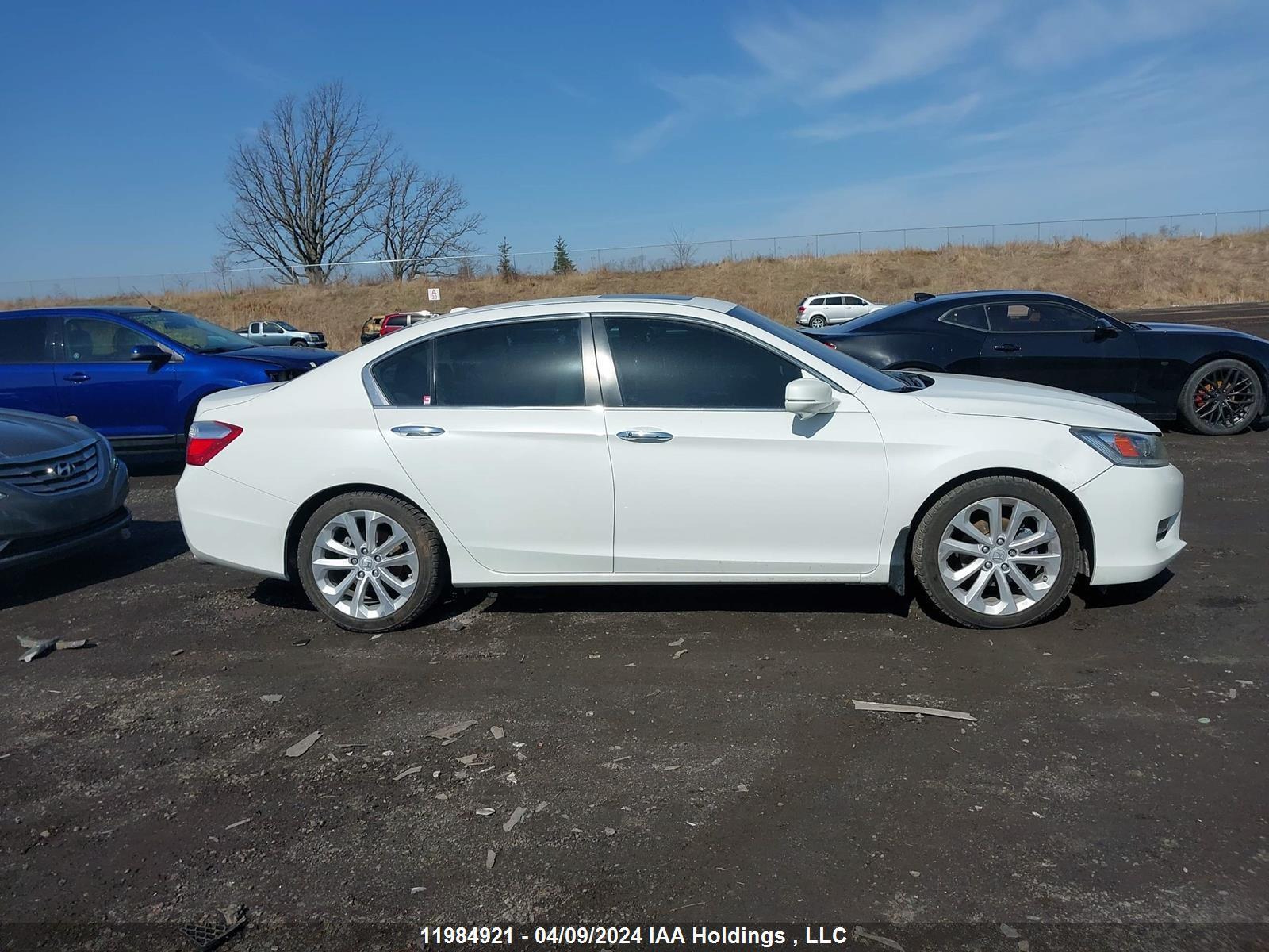 Photo 12 VIN: 1HGCR2F92EA812228 - HONDA ACCORD 