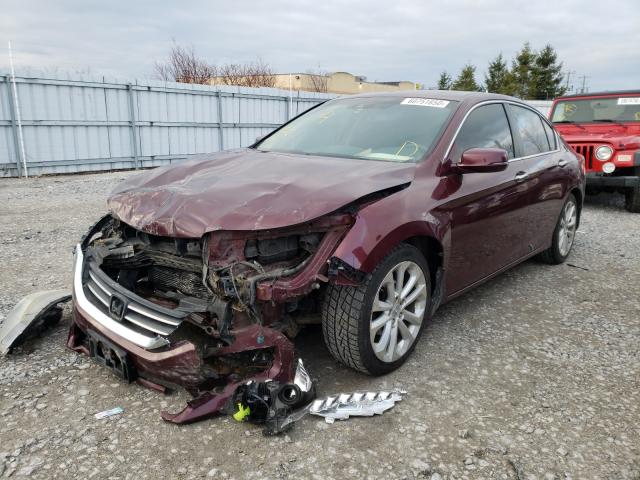 Photo 1 VIN: 1HGCR2F96DA805992 - HONDA ACCORD TOU 