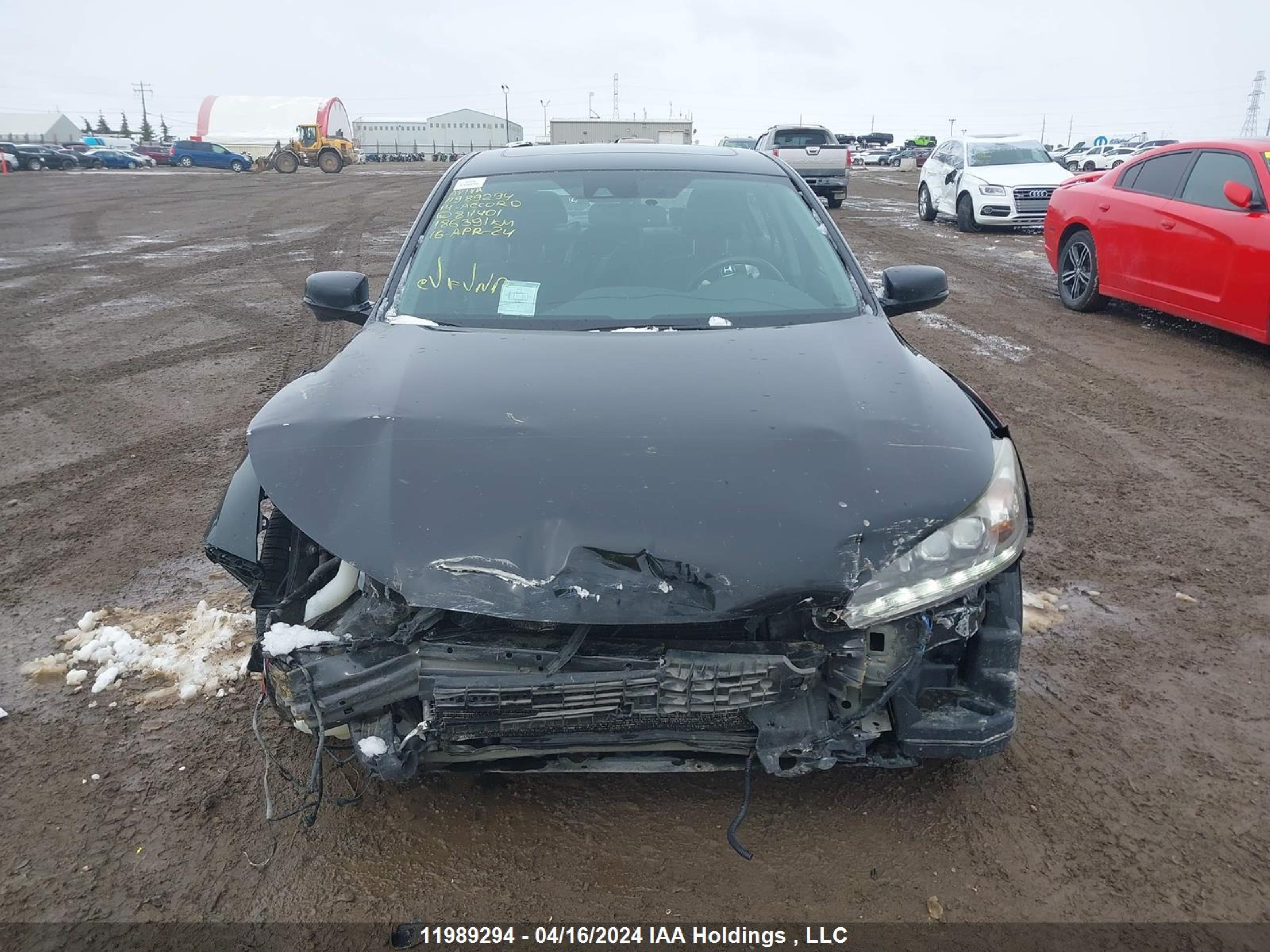 Photo 12 VIN: 1HGCR2F97EA811401 - HONDA ACCORD 