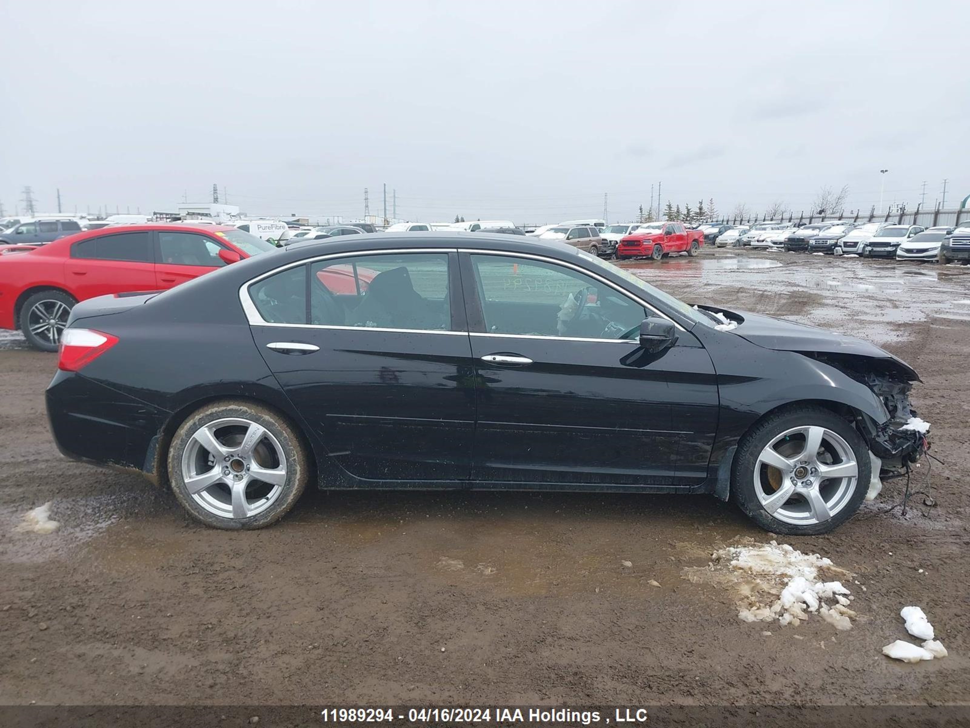 Photo 13 VIN: 1HGCR2F97EA811401 - HONDA ACCORD 