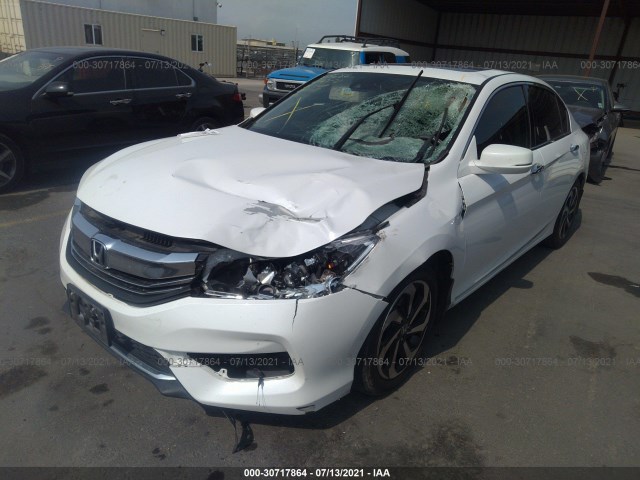 Photo 5 VIN: 1HGCR3F03HA009309 - HONDA ACCORD SEDAN 