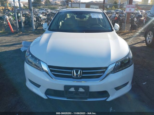 Photo 5 VIN: 1HGCR3F80EA036033 - HONDA ACCORD 