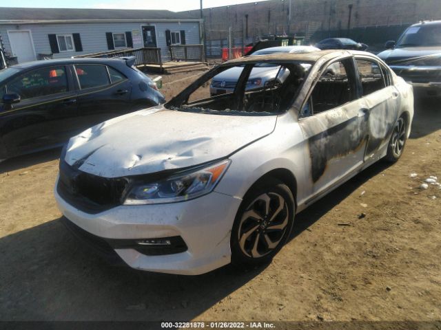 Photo 1 VIN: 1HGCR3F80HA029443 - HONDA ACCORD SEDAN 