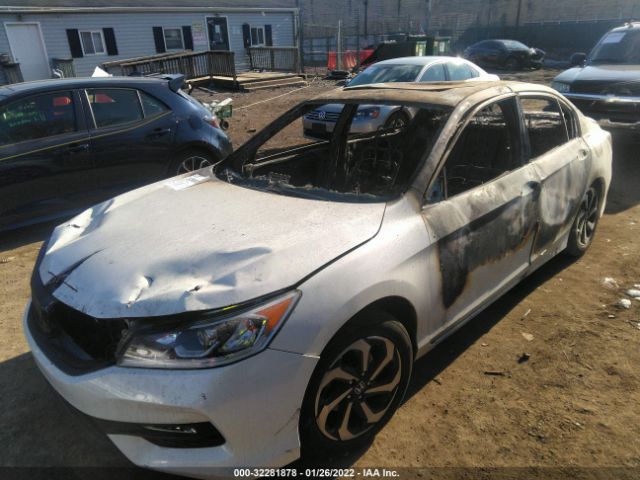 Photo 5 VIN: 1HGCR3F80HA029443 - HONDA ACCORD SEDAN 