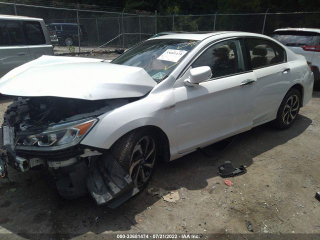 Photo 1 VIN: 1HGCR3F81HA018435 - HONDA ACCORD SEDAN 