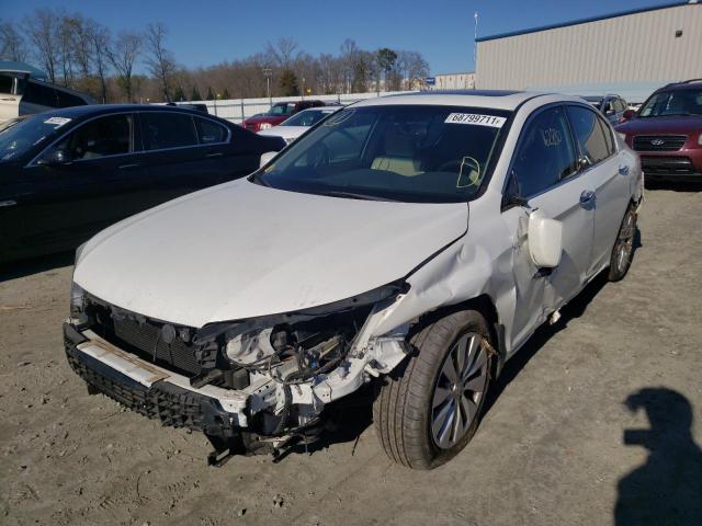 Photo 1 VIN: 1HGCR3F83DA020911 - HONDA ACCORD EXL 