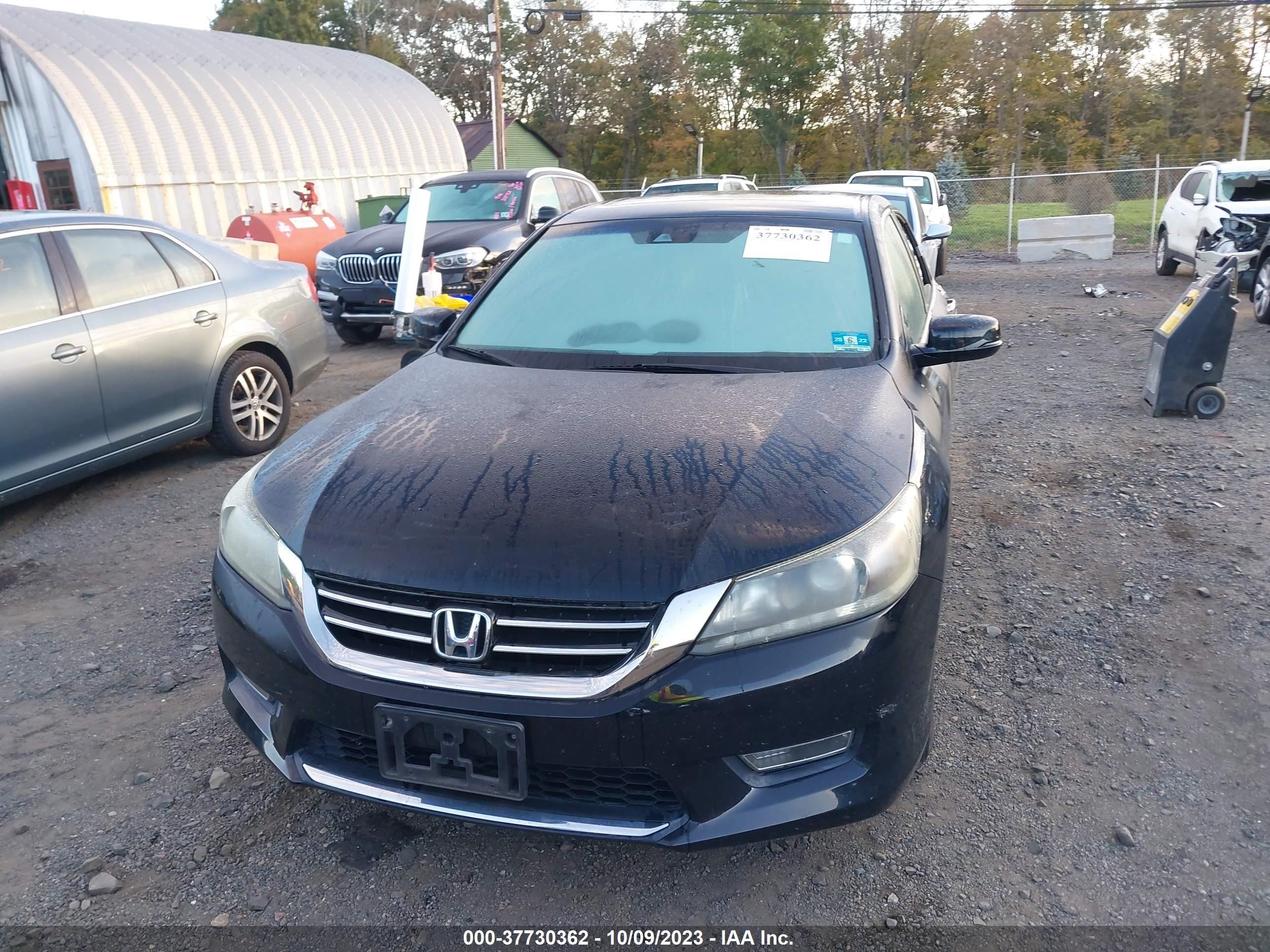 Photo 11 VIN: 1HGCR3F84DA034848 - HONDA ACCORD 