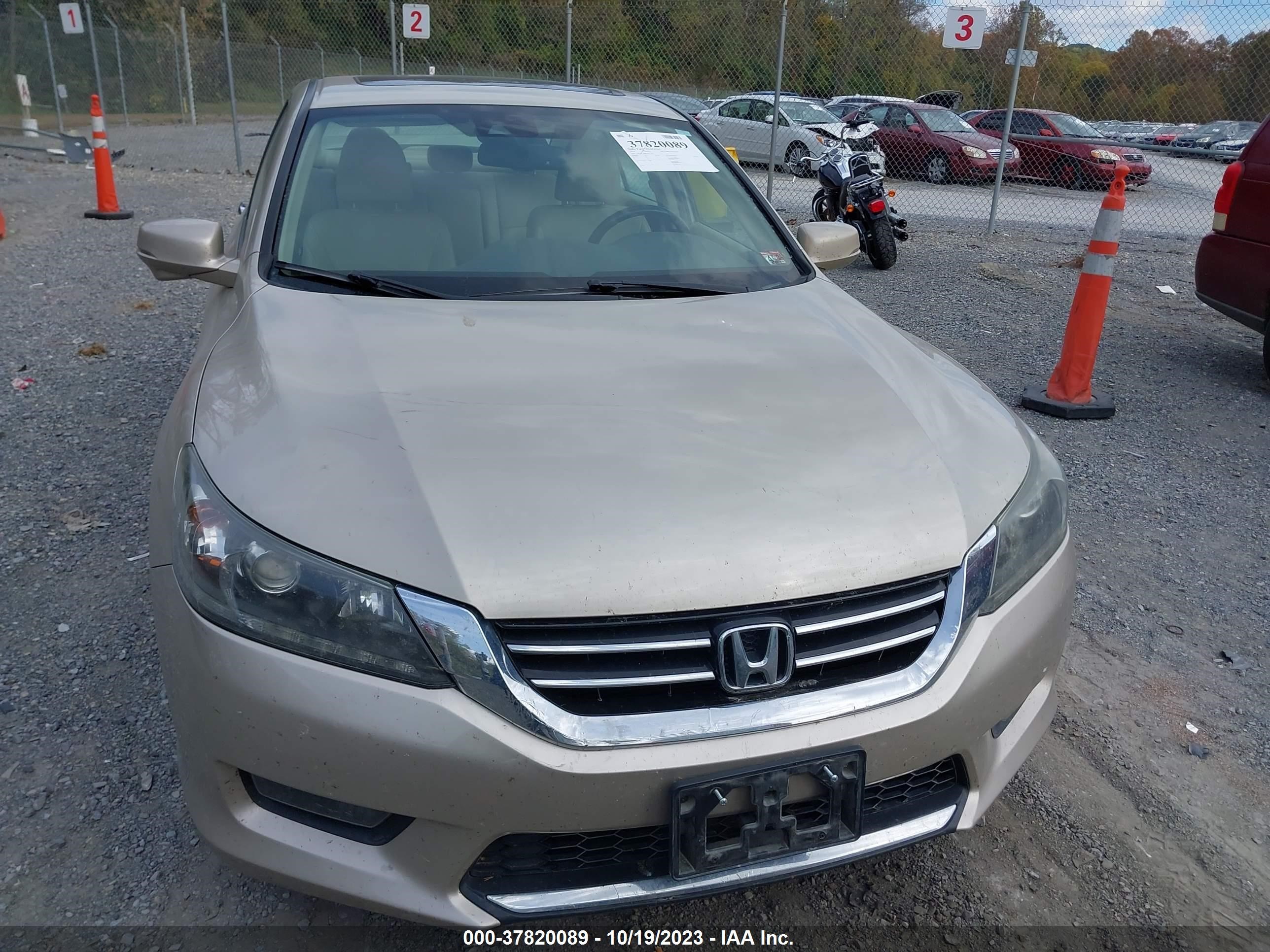 Photo 11 VIN: 1HGCR3F84EA031126 - HONDA ACCORD 