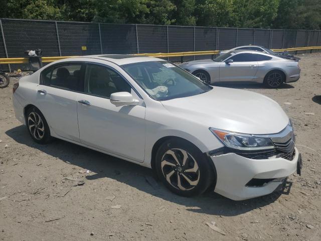 Photo 3 VIN: 1HGCR3F84HA024231 - HONDA ACCORD EXL 