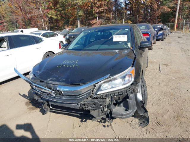 Photo 5 VIN: 1HGCR3F84HA034757 - HONDA ACCORD SEDAN 