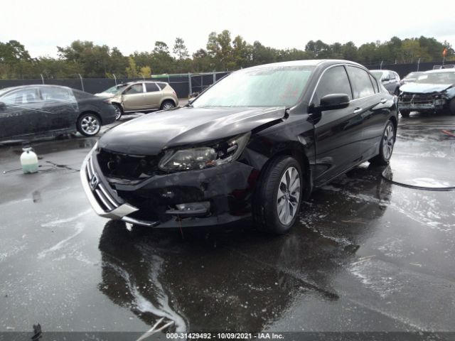 Photo 5 VIN: 1HGCR3F85DA021347 - HONDA ACCORD SDN 