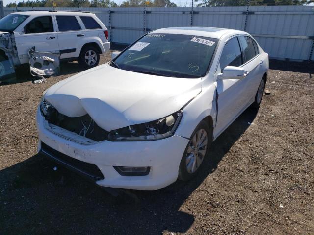 Photo 1 VIN: 1HGCR3F87DA003111 - HONDA ACCORD SDN 