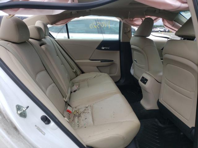 Photo 5 VIN: 1HGCR3F87DA010589 - HONDA ACCORD EXL 