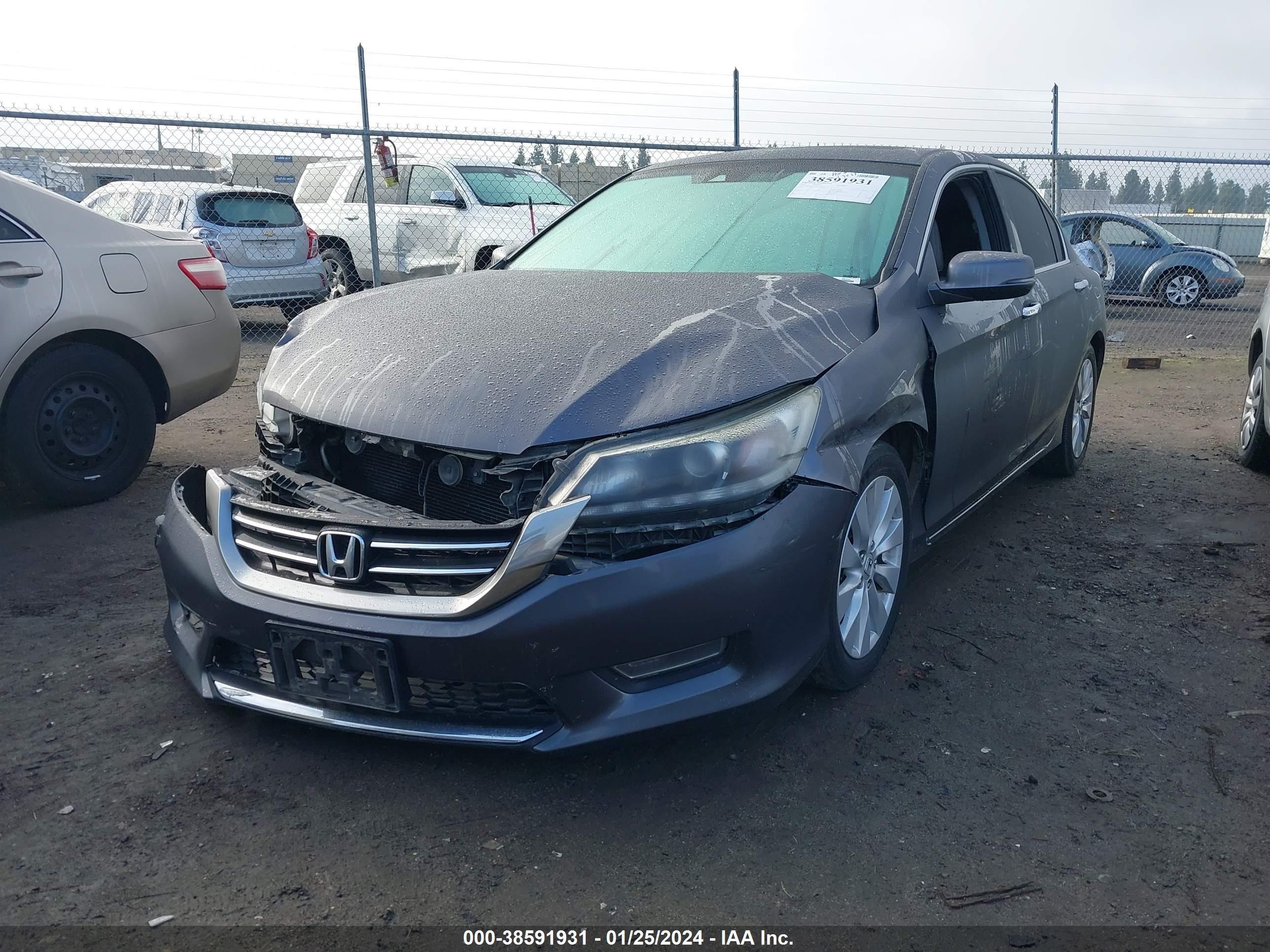 Photo 1 VIN: 1HGCR3F88DA012335 - HONDA ACCORD 