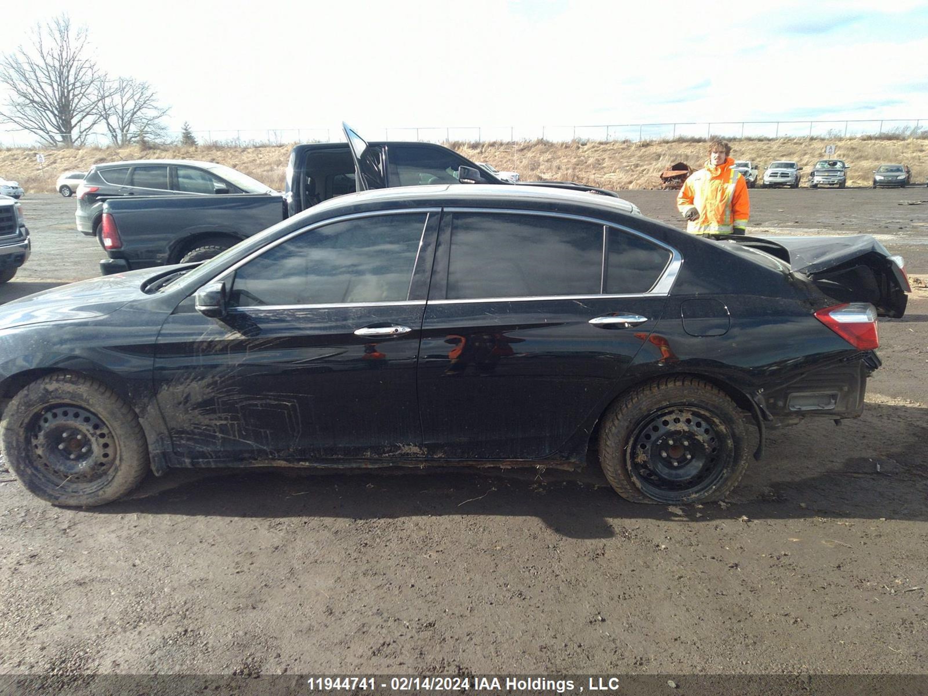 Photo 12 VIN: 1HGCR3F88DA801245 - HONDA ACCORD 