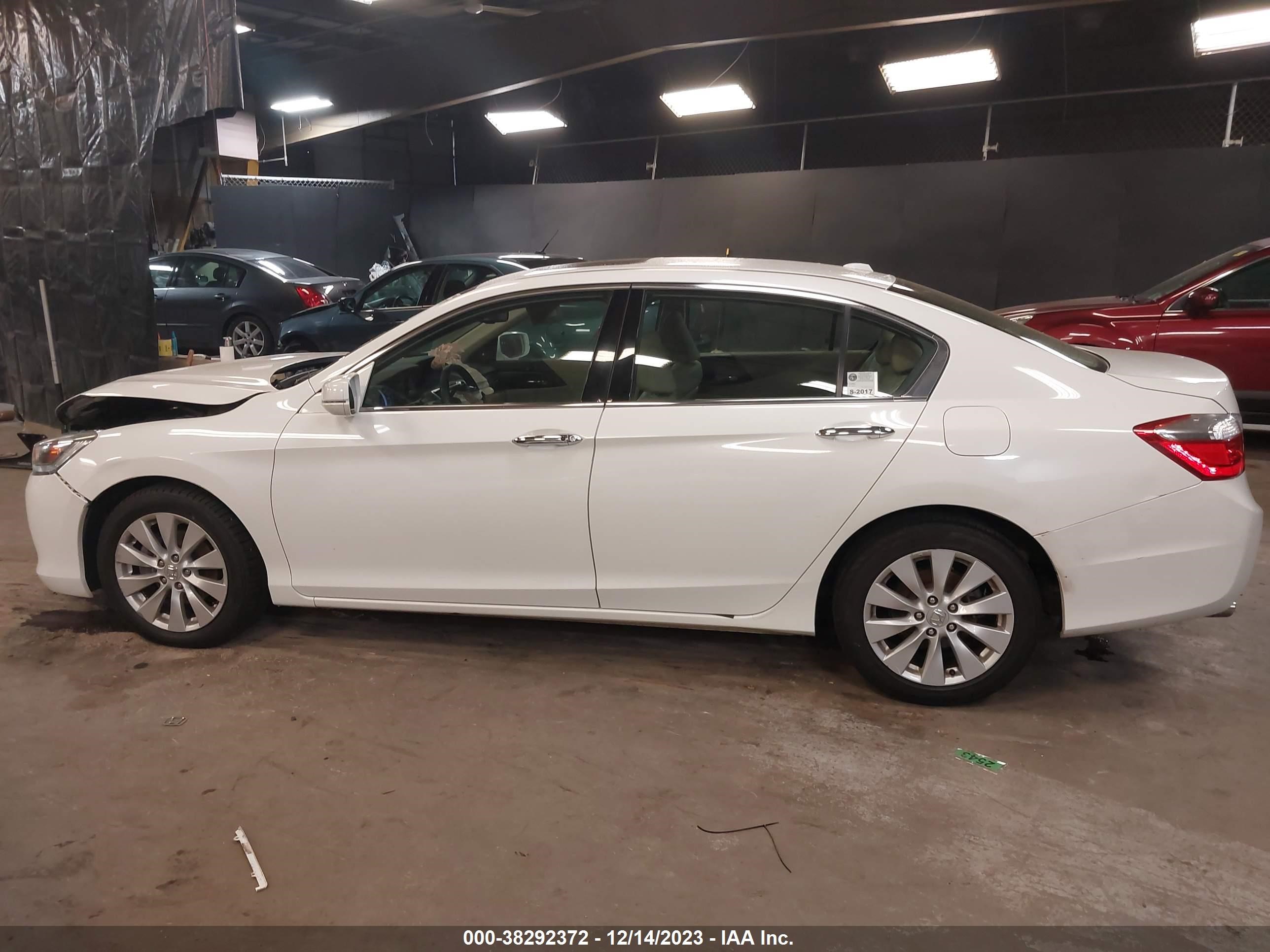 Photo 13 VIN: 1HGCR3F8XDA019173 - HONDA ACCORD 