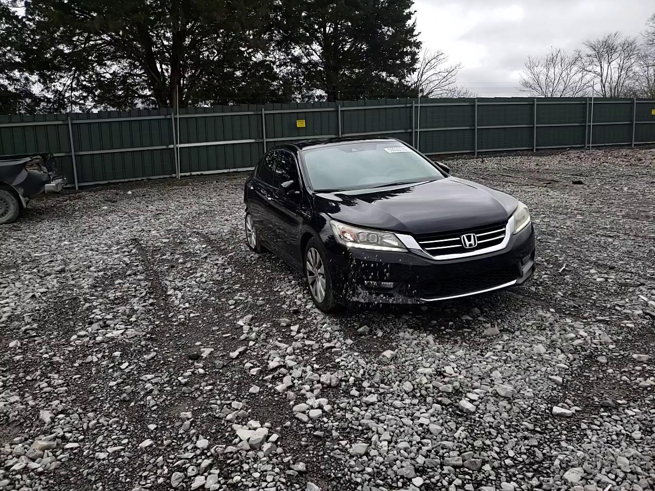 Photo 10 VIN: 1HGCR3F91FA012835 - HONDA ACCORD TOU 