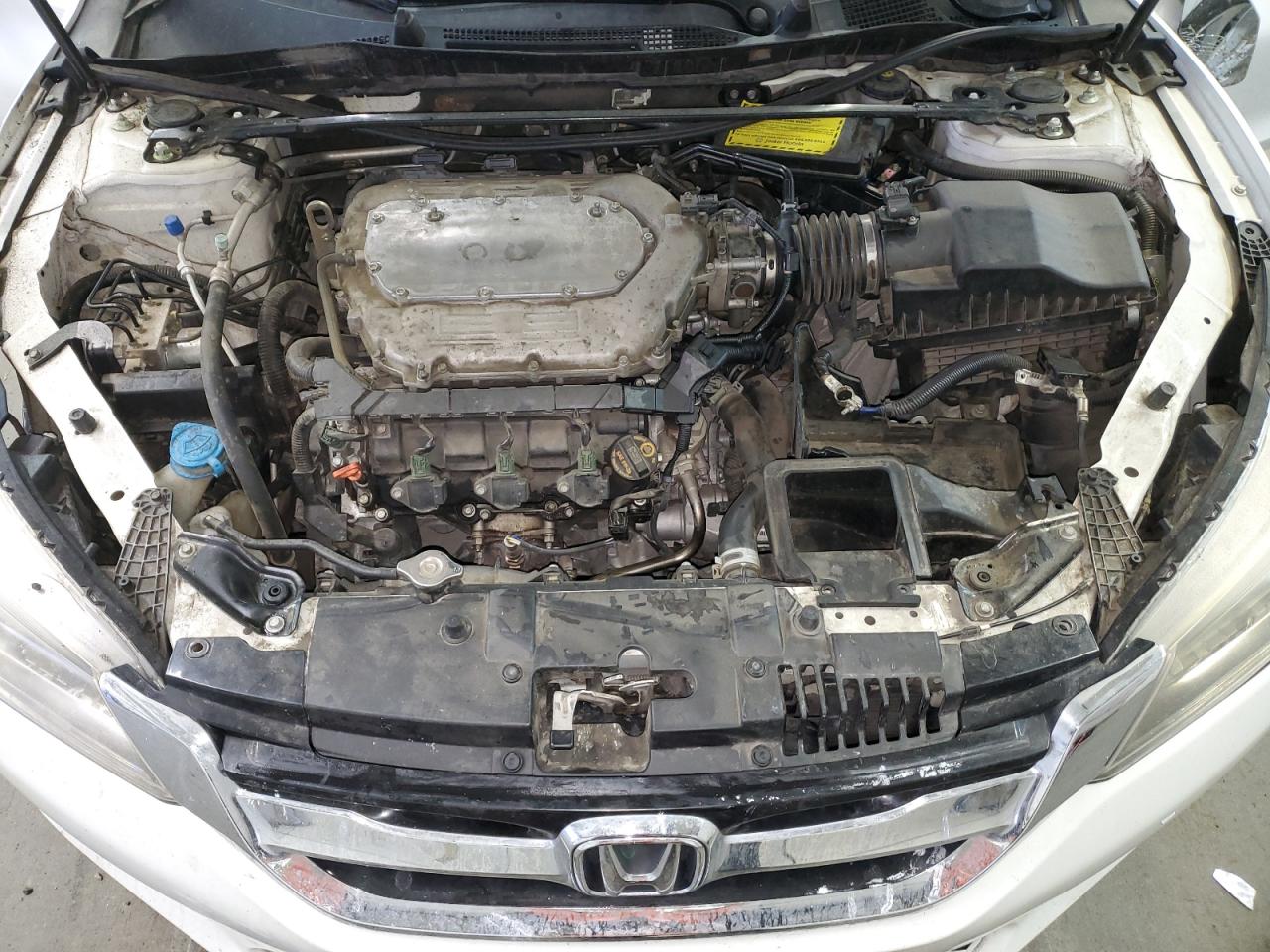 Photo 10 VIN: 1HGCR3F95DA801759 - HONDA ACCORD 