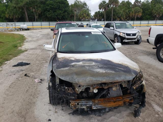 Photo 8 VIN: 1HGCR3F97DA025733 - HONDA ACCORD TOU 