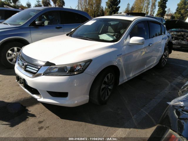 Photo 1 VIN: 1HGCR6F55EA004606 - HONDA ACCORD HYBRID 