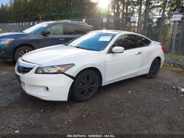 Photo 1 VIN: 1HGCS1B70CA005545 - HONDA ACCORD CPE 