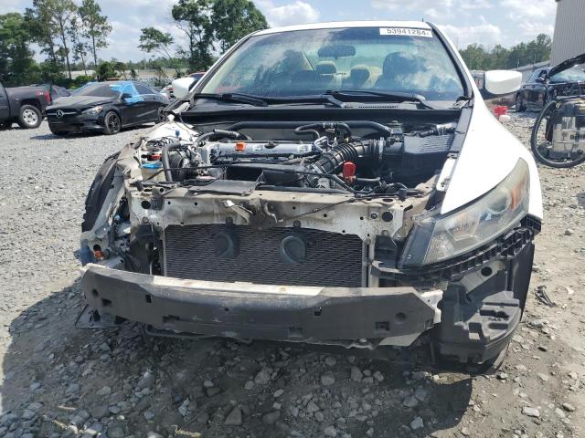 Photo 4 VIN: 1HGCS1B72BA017355 - HONDA ACCORD 