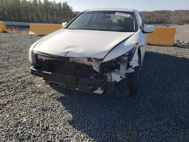 Photo 8 VIN: 1HGCS1B85CA007042 - HONDA ACCORD CPE 