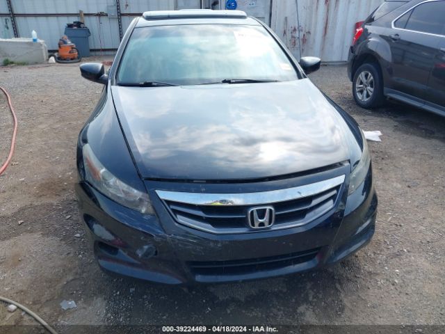 Photo 5 VIN: 1HGCS1B88CA021193 - HONDA ACCORD 