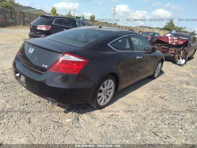 Photo 3 VIN: 1HGCS2A8XAA009714 - HONDA ACCORD CPE 