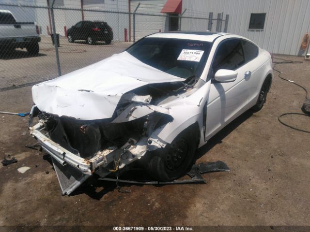 Photo 1 VIN: 1HGCS2B80BA003114 - HONDA ACCORD 