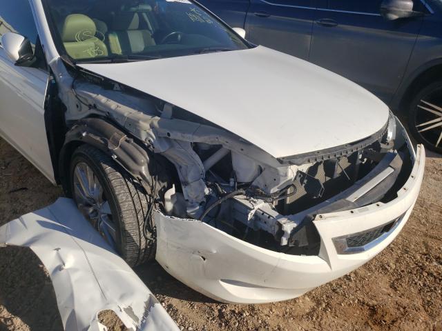 Photo 8 VIN: 1HGCS2B83AA004725 - HONDA ACCORD EXL 