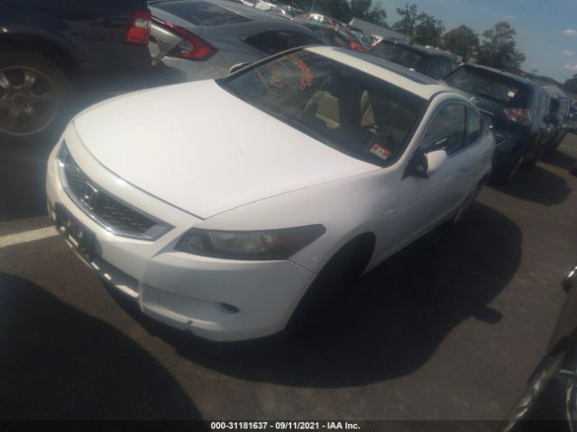 Photo 1 VIN: 1HGCS2B86AA000491 - HONDA ACCORD CPE 