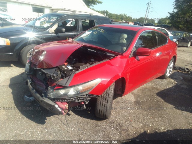 Photo 1 VIN: 1HGCS2B86BA008527 - HONDA ACCORD CPE 