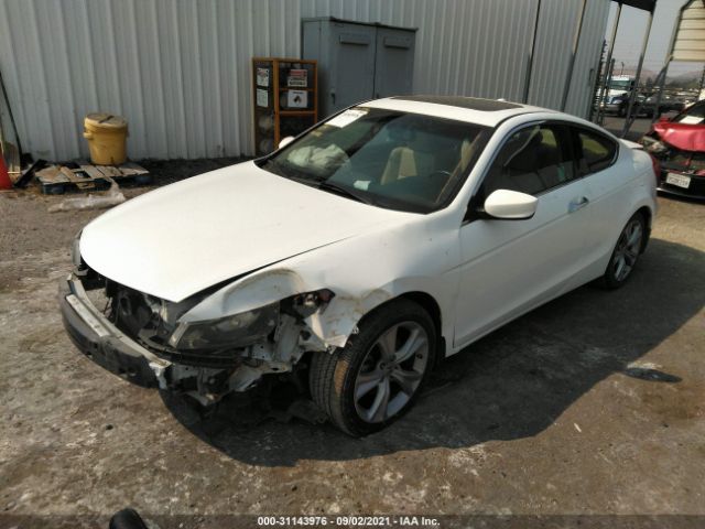 Photo 1 VIN: 1HGCS2B88BA006343 - HONDA ACCORD CPE 