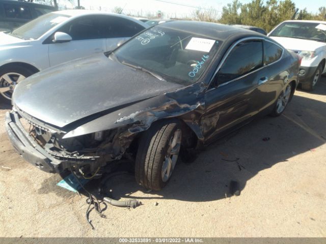 Photo 1 VIN: 1HGCS2B89BA000616 - HONDA ACCORD CPE 