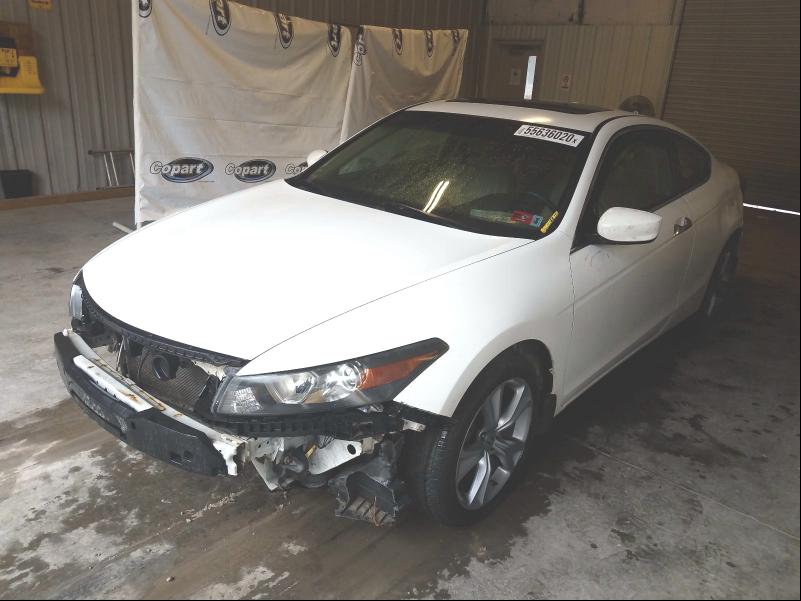 Photo 1 VIN: 1HGCS2B89BA008831 - HONDA ACCORD EXL 