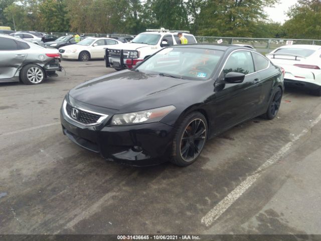 Photo 1 VIN: 1HGCS2B8XBA005601 - HONDA ACCORD CPE 