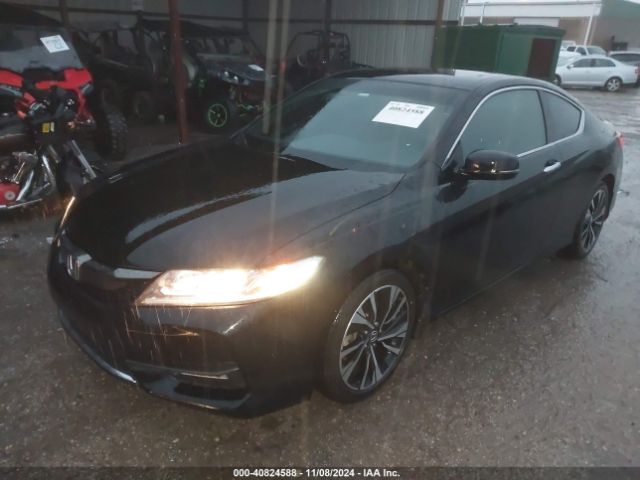 Photo 5 VIN: 1HGCT1A76GA012813 - HONDA ACCORD 