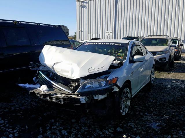 Photo 1 VIN: 1HGCT1B34DA016902 - HONDA ACCORD LX- 