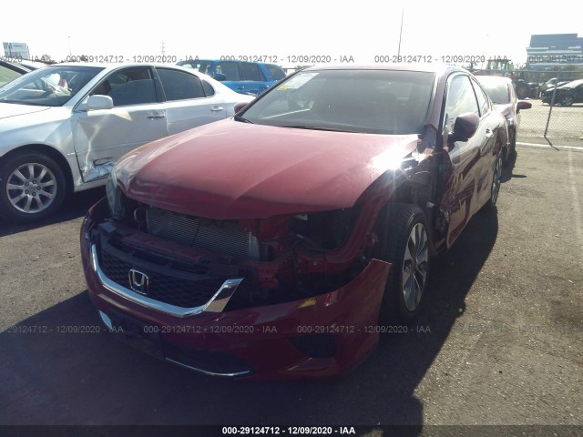 Photo 5 VIN: 1HGCT1B35DA016763 - HONDA ACCORD CPE 