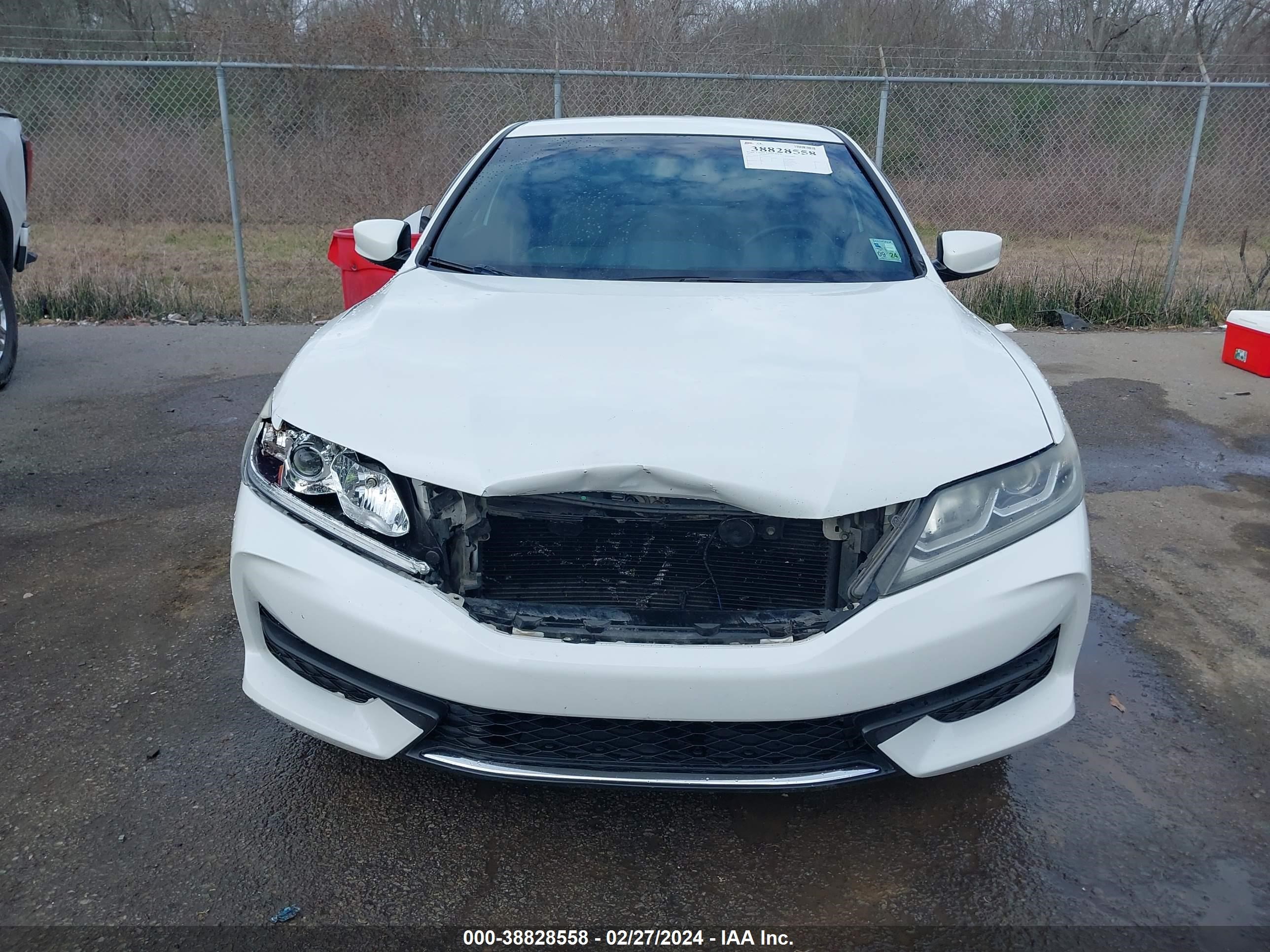 Photo 11 VIN: 1HGCT1B35HA003839 - HONDA ACCORD 