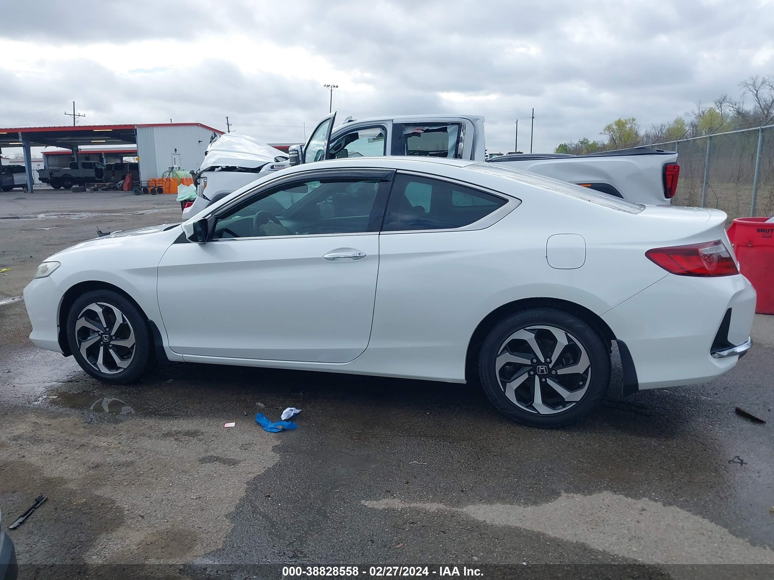 Photo 13 VIN: 1HGCT1B35HA003839 - HONDA ACCORD 