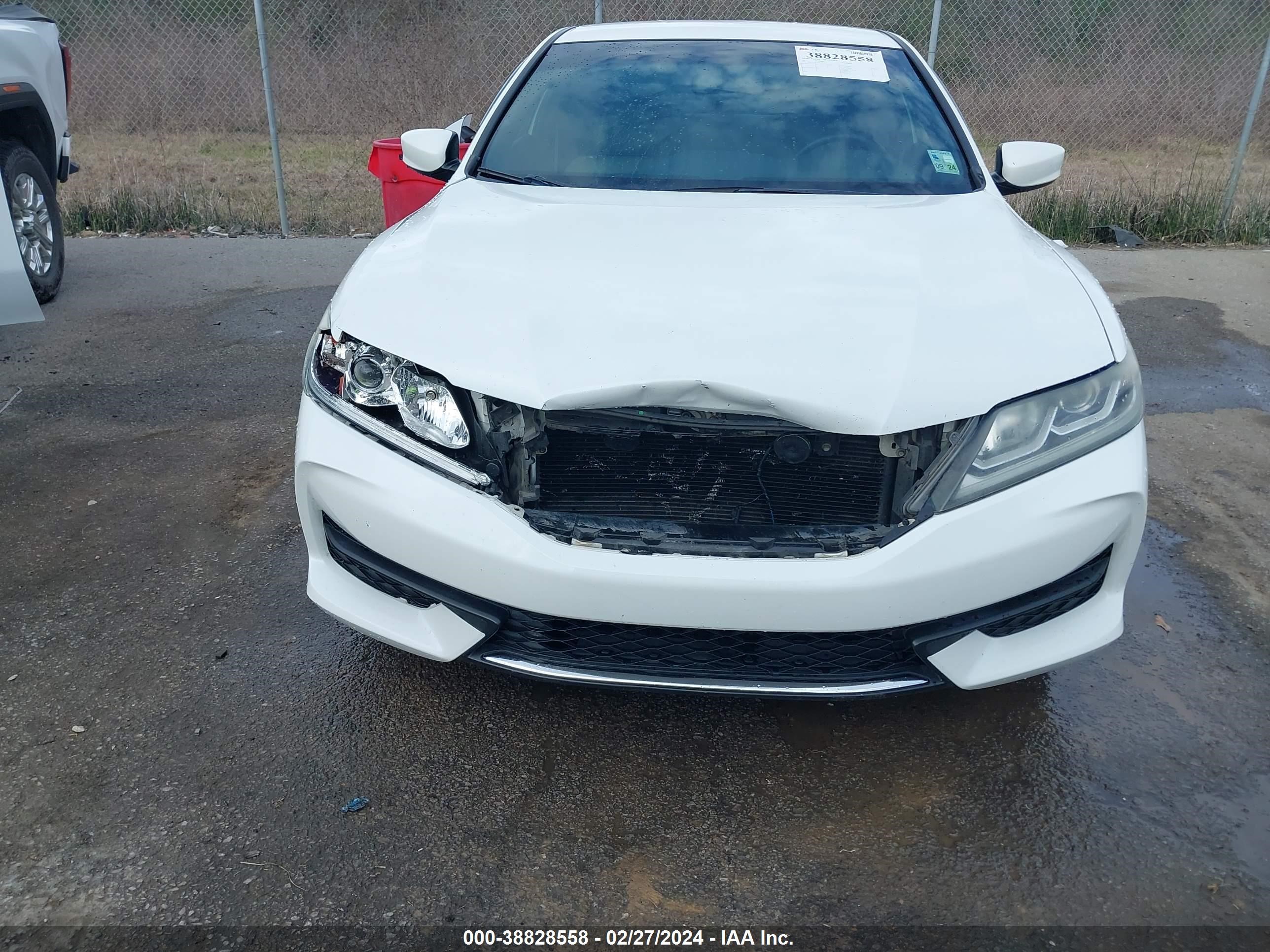 Photo 5 VIN: 1HGCT1B35HA003839 - HONDA ACCORD 