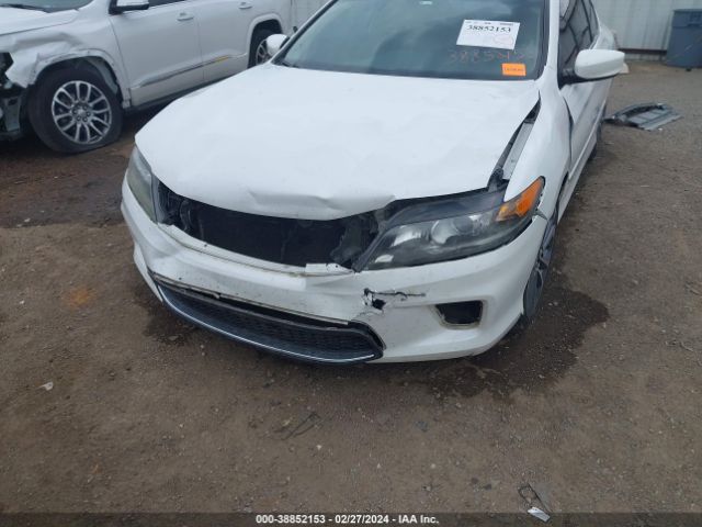 Photo 5 VIN: 1HGCT1B37DA022662 - HONDA ACCORD 