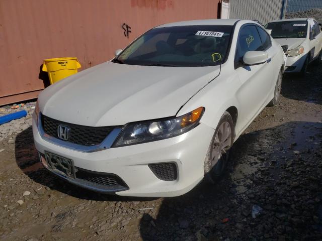 Photo 1 VIN: 1HGCT1B39DA022646 - HONDA ACCORD 