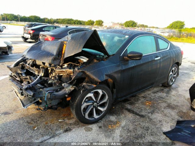 Photo 1 VIN: 1HGCT1B3XHA004503 - HONDA ACCORD COUPE 