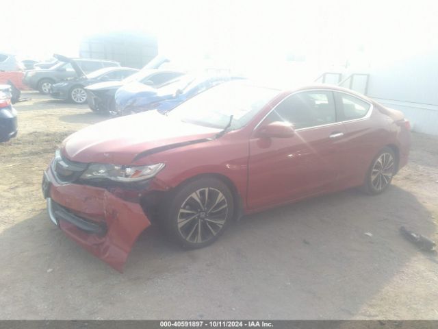 Photo 1 VIN: 1HGCT1B70GA013065 - HONDA ACCORD 