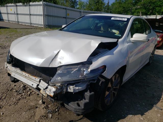 Photo 1 VIN: 1HGCT1B77DA013351 - HONDA ACCORD EX 